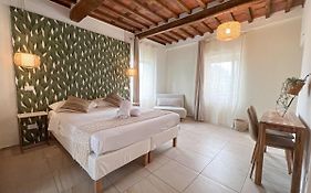 New! -Verderame Rooms & Suite In Lucca